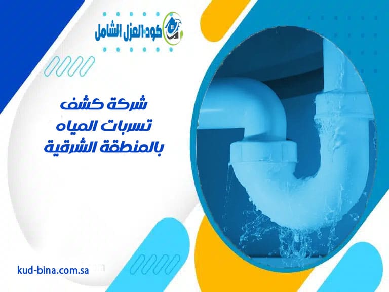 شركة كشف تسربات المياه بالمنطقة الشرقية