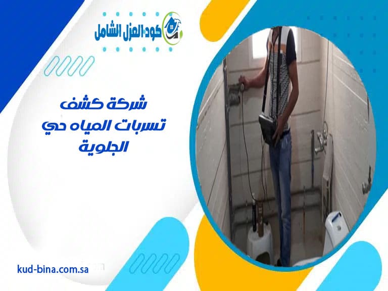 شركة كشف تسربات المياه حي الجلوية