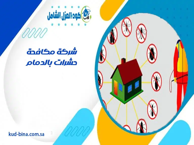 شركة مكافحة حشرات بالدمام